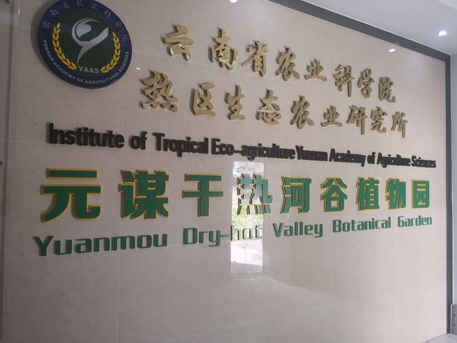 云南省农业科学院热区生态农业研究所的学习活动让南小学子